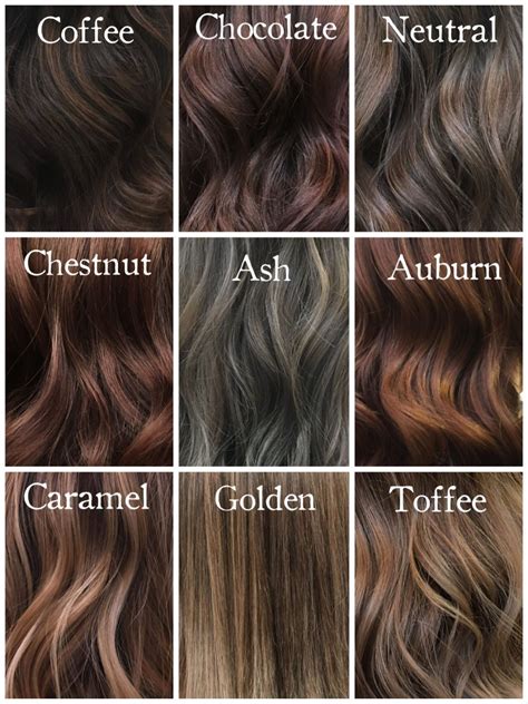 brown hair hair color ideas|different brown hair colors chart.